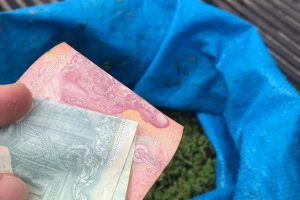 240442219_892629294699355_3004020336193627065_n