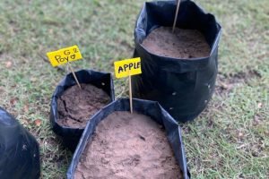 240489847_892629608032657_8247121462192910953_n