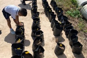 240515594_892629624699322_4410631758968234098_n