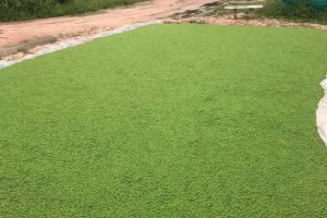 240621309_892629521365999_2706567975332264456_n